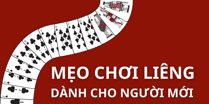 Mẹo chơi liêng hiệu quả dành cho người mới